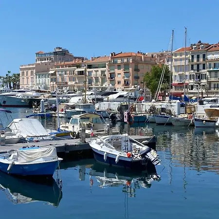 Proche Palais Des Festivals - Marche Forville Cannes